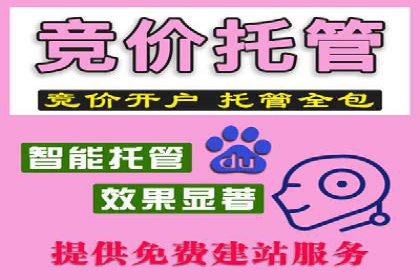 解析某某sem代运营公司如何通过精准投放实现销售增长